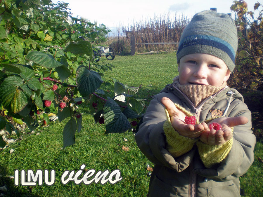 berry-picking-as-rest-with-children-in-karelia